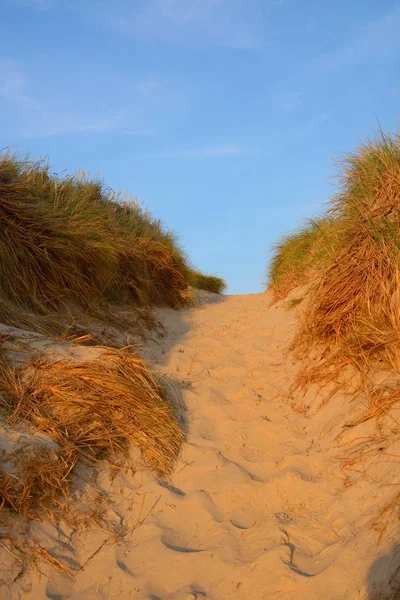 kum tepeleri ile peyzaj