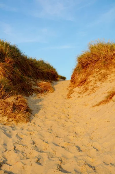 kum tepeleri ile peyzaj