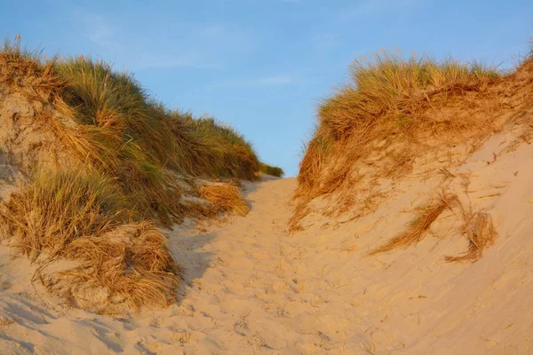 Пейзаж с песчаными дюнами — стоковое фото