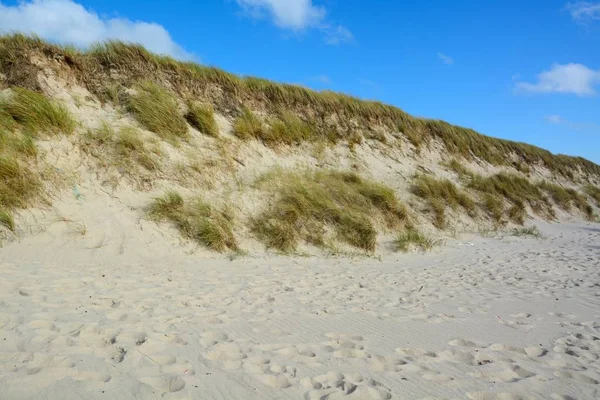 Пейзаж з піщаними дюнами — стокове фото