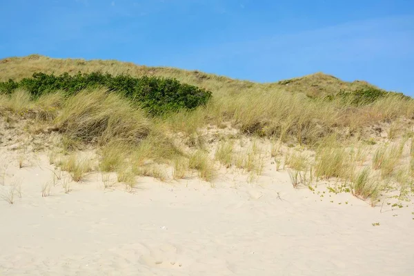 Landscape with sand dunes Royalty Free Stock Images