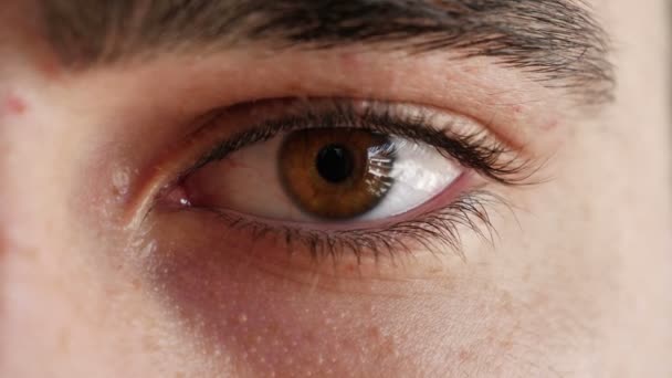 Крупный план глаза молодого человека — стоковое видео