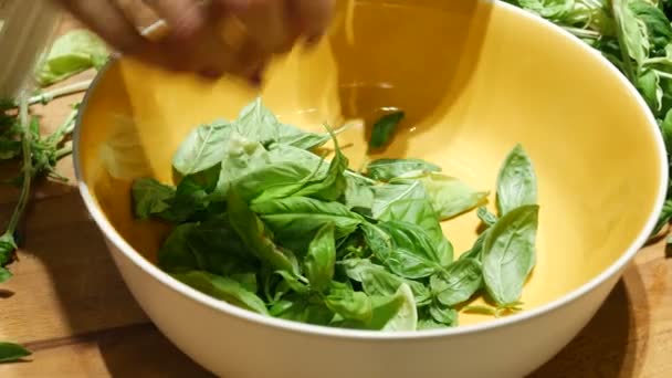 Hands tearing basil to bowl — Stock Video