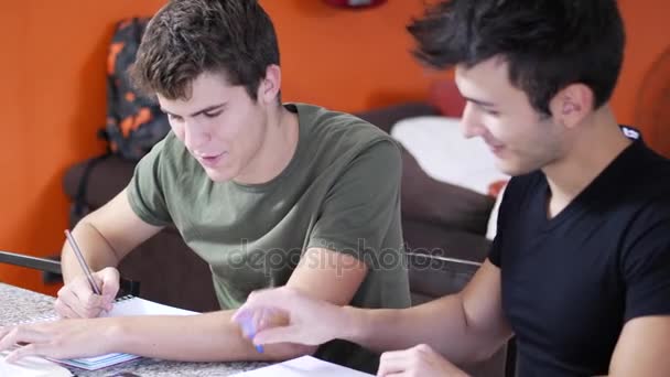 Young men busy with studies — Stock Video