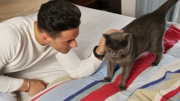 Guapo joven hombre acurrucado su gris gato mascota — Vídeos de Stock