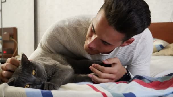 Jóképű fiatalember ölelgeti a szürke macskáját. — Stock videók