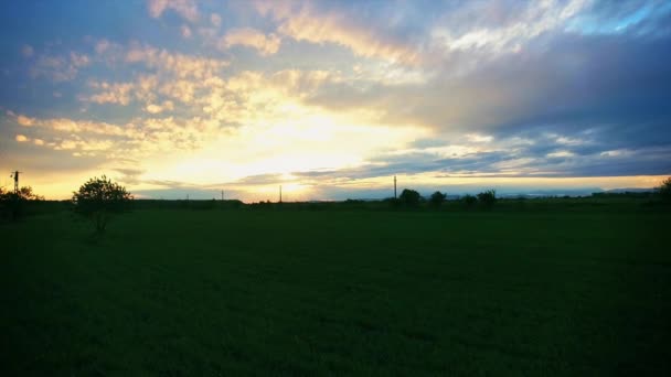 Por do sol sobre um campo de trigo — Vídeo de Stock