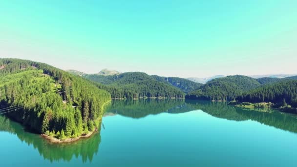 Fly Over hegyi tó tükör erdővel körülvett — Stock videók