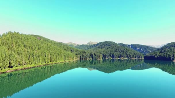 Volar sobre el espejo Lago de montaña rodeado por el bosque — Vídeos de Stock