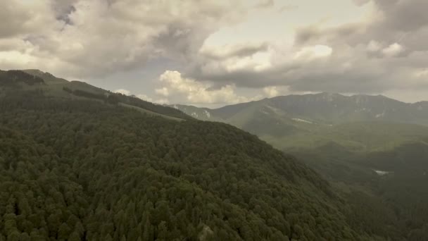 Горы, покрытые зелеными сосновыми лесами — стоковое видео