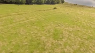 Sinek üzerinde ayna dağ gölü