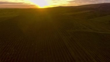 Tepenin üzerinden uç, bağların üzerinden uç.