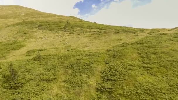 Vallée verte avec des sommets de montagne — Video