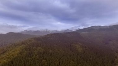 sonbahar orman üzerinde gündoğumu 