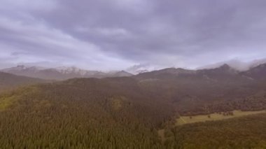 sonbahar orman üzerinde gündoğumu 