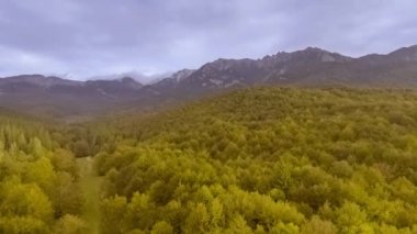 sonbahar orman üzerinde gündoğumu 