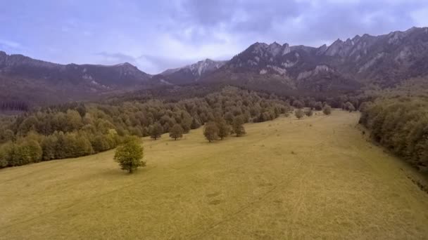 Amanecer sobre bosque de otoño — Vídeo de stock