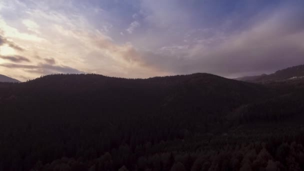 Vliegen over herfst bos — Stockvideo