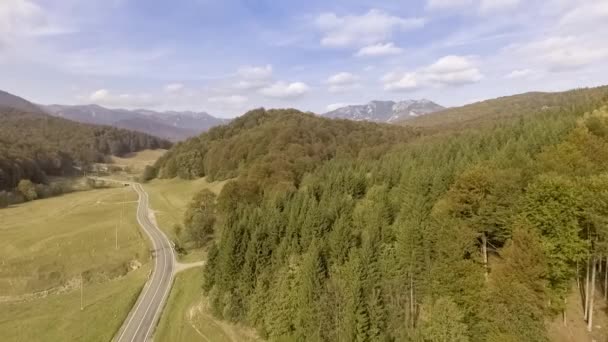 Літати над осіннім лісом — стокове відео