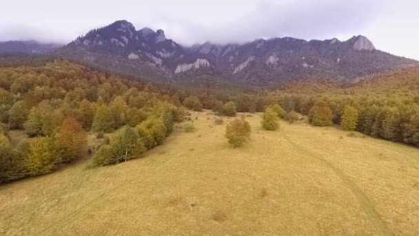 Voar sobre floresta de outono — Vídeo de Stock