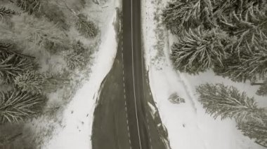 Kış ormanı boyunca yol