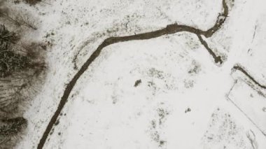 Bulutlu bir günde ormanında kış