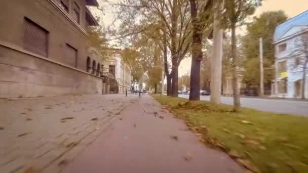 Барвистий бульвар восени — стокове відео