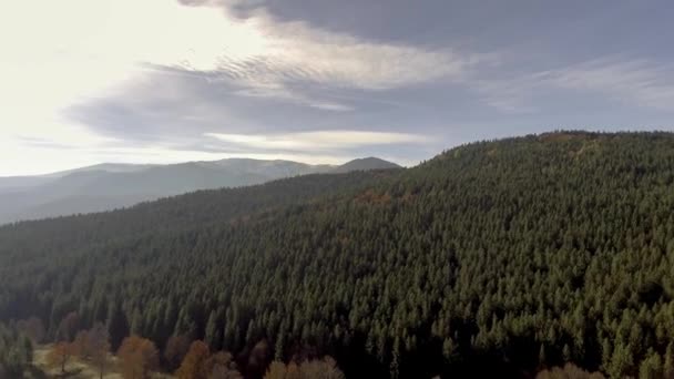 Volar sobre colorido bosque de otoño — Vídeos de Stock