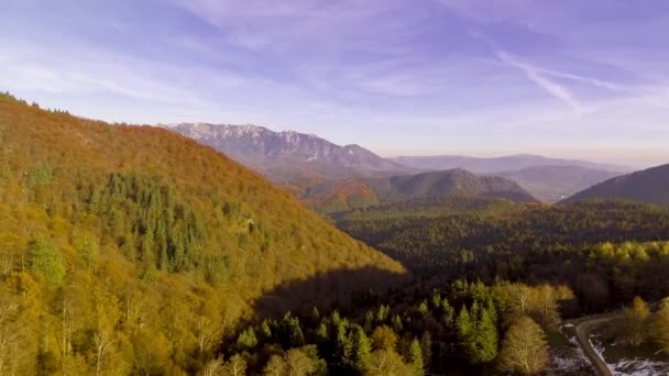 Günbatımı üzerinde renkli sonbahar orman — Stok video