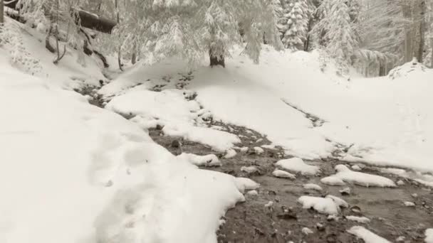 Поток через снег — стоковое видео