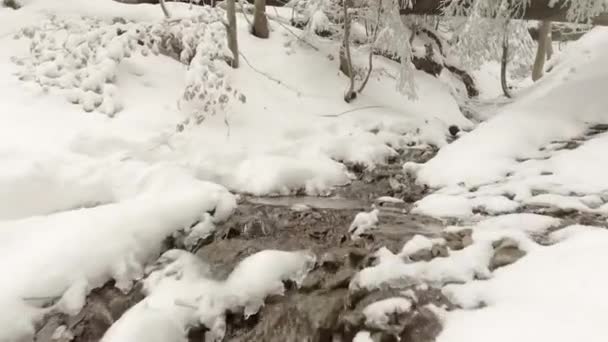 Ström genom snön — Stockvideo