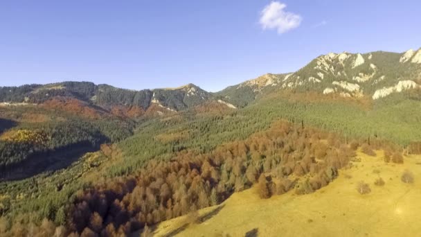 Repülnek át a színes őszi erdő — Stock videók