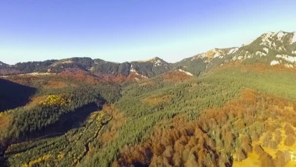 Volar sobre colorido bosque de otoño — Vídeos de Stock