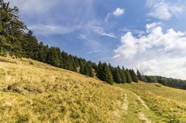 Yaz dağı manzarası