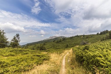 Yaz dağı manzarası