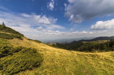 Yaz dağı manzarası