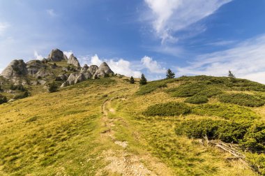 Yaz dağı manzarası