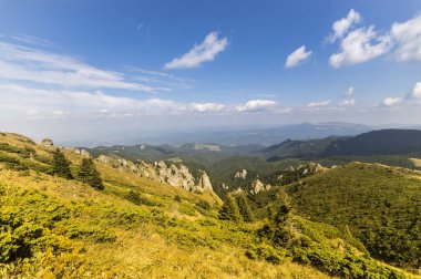 Yaz dağı manzarası