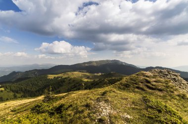 Yaz dağı manzarası