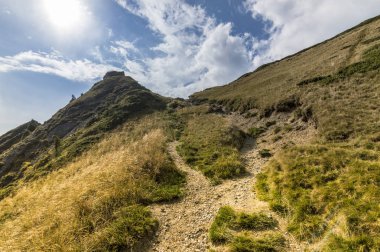 Yaz dağı manzarası