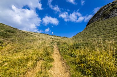 Yaz dağı manzarası