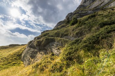 Yaz dağı manzarası