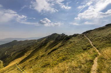 Yaz dağı manzarası
