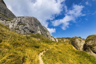 Yaz dağı manzarası