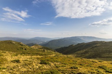 Yaz dağı manzarası