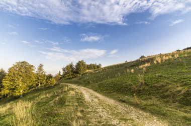 Yaz dağı manzarası