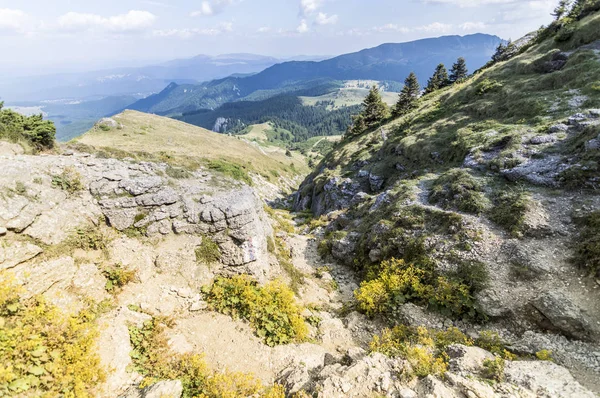 Yaz dağı manzarası — Stok fotoğraf