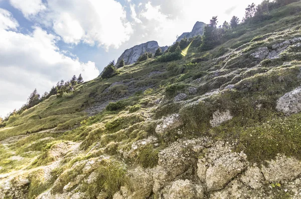 Verão paisagem de montanha — Fotografia de Stock