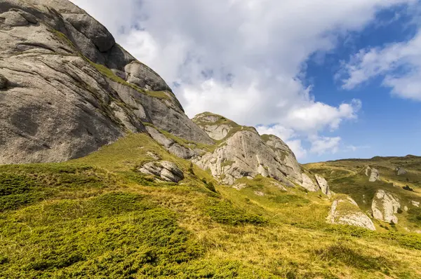 Yaz dağı manzarası