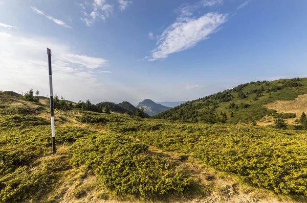 Yaz dağı manzarası — Stok fotoğraf